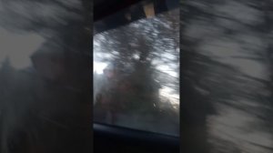 я еду на спектакль брементские музыканты