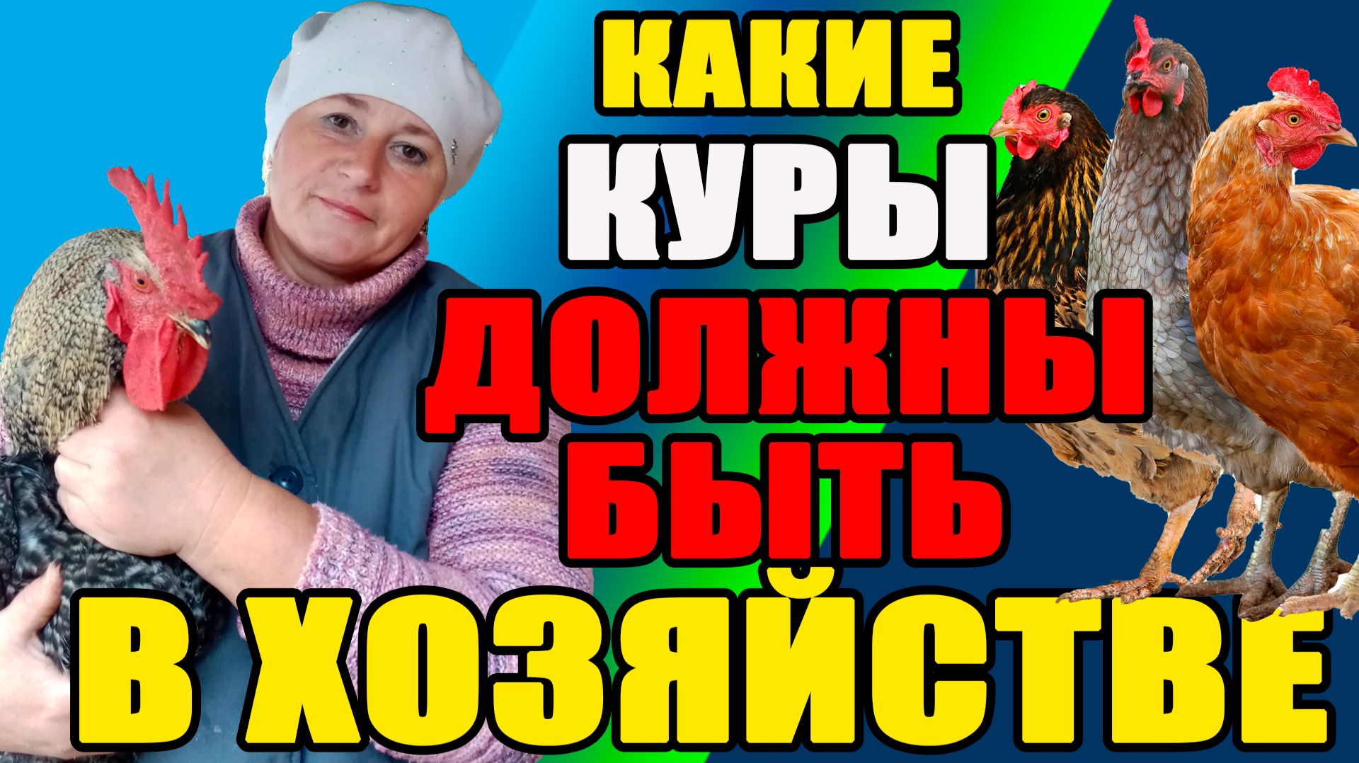 ТОП 5 КУР для вашего хозяйства.