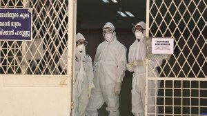 Смертельно опасный вирус Нипах вышел за пределы Индии