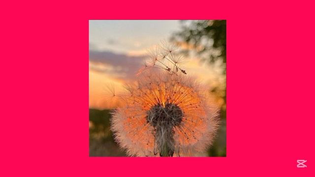 ℹ️ °•Жизнь налаживается–плейлист•° ~English-Russian Summer Playlist~ смотреть онлайн