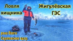ХИЩНИК НА ВИБЫ ЗИМОЙ/РЫБАЛКА У ЖИГУЛЁВСКОЙ ГЭС/ЛОВЛЯ СУДАКА,БЕРША И ОКУНЯ/РЫБАЛКА НА ВОЛГЕ/ЗИМА 2026