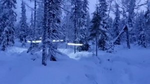 🎄Поздровление С, Новым🐎2026 Годом⛄️!!! Обзор на парк Седэ-Яха🎅!!! 1 часть!#Парк#Седэ-Яха#НовыйГод