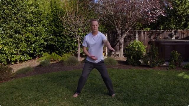 Современный цигун Упражнения Стихия Земля Уровень 3 Продвинутый Ли Холден смотреть онлайн