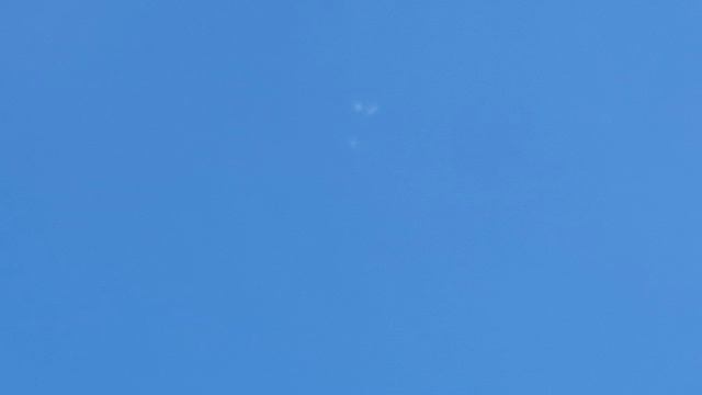 1000108080.mp4Голуби смотреть онлайн