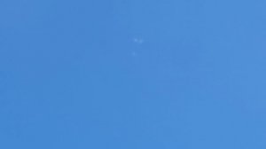 1000108080.mp4Голуби