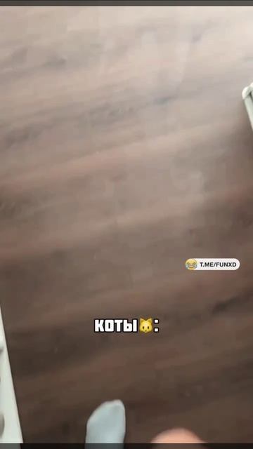 А как встречают вас?