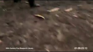 Обезьяна с автоматом