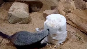 Медоедская скульптура)