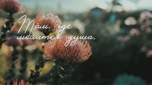 1000012842.mp4христианский канал