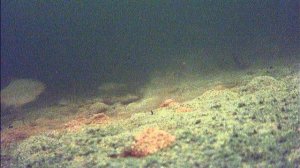 FILE190101-050425-000034F