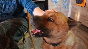 Зимняя деревня, зайка-переросток и аромат можжевельника