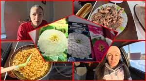 06.02.2026 // Морозы отступают // Купила еще семена // Макароны с сайрой