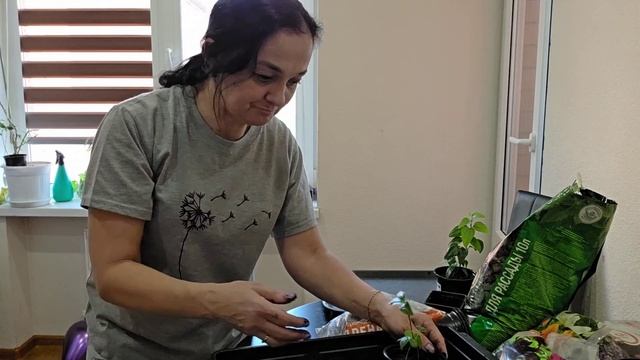 301 ЗАБОЛЕЛИ ВСЕ. ГДЕ МУХА ? ВАРЮ БОРЩ. ПОСЕЯЛА ПОМИДОРЫ И ПЕРЕЦ. Жизнь на юге