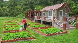 Выкладываю из красных кирпичей грядки для овощей. Создаю огород перед домом. Серия 16. Ли Фук Ви