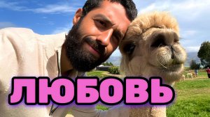 ЛЮБОВЬ или СТРАДАНИЯ, выбираешь только ТЫ. Но я МОГУ помочь, если есть желание. Анар Дримс