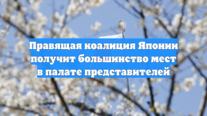 Правящая коалиция Японии получит большинство мест в палате представителей