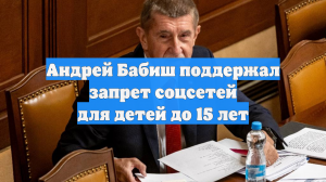 Андрей Бабиш поддержал запрет соцсетей для детей до 15 лет