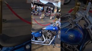 Балтик Ралли 2025 на Харлей Давидсон Вместо дачи