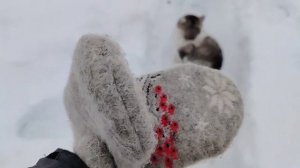 VLOG Сильный обстрел❗ Сколько весит Сёма?😮