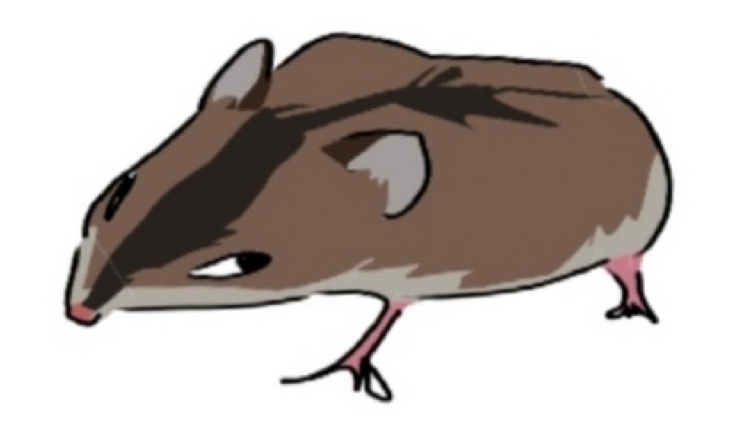 Terrible mouse. Новая запись от Gutian (Без звука) смотреть онлайн