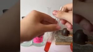 Химия 8 класс. Практическая работа 7. Качественная реакция на серную кислоту