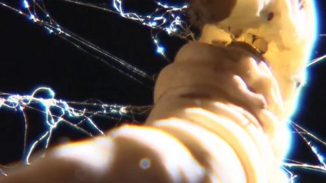 Производство натуральных тканей