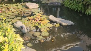 Внутренний двор отеля Dusit Thani Паттайя 🛌🌳🌴