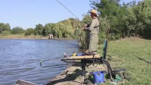 В этой реке есть разная рыба, рыбалка на флэт фидер осенью 2025