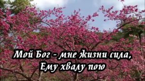 Библия онлайн | Книга Иисуса Навина, 4 глава