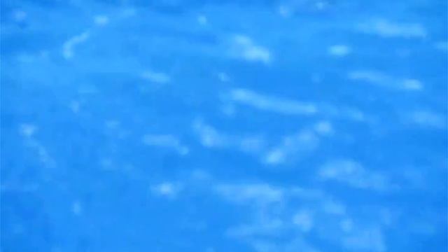 ВСЕ ЕСТЬ БРАХМАН (Шри Ауробиндо) ВСЕ ЕСТЬ БРАХМАН (Шри Ауробиндо)