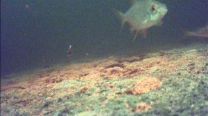 FILE190101-051724-000035F