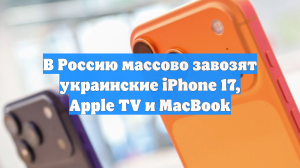 В Россию массово завозят украинские iPhone 17, Apple TV и MacBook