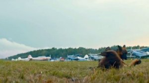 Пальма 2 | Трейлер | 2025