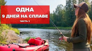 СПЛАВ ПО РЕКЕ В ОДИНОЧКУ. ЗВЕРИ РЯДОМ. НОЧУЮ В ПАЛАТКЕ