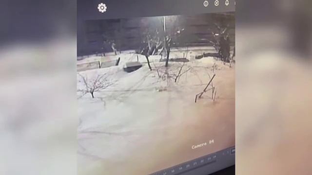 Нападавший на генерала выбросил пистолет в сугроб и уехал на общественном транспорте смотреть онлайн