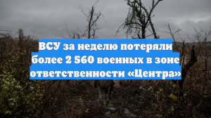 ВСУ за неделю потеряли более 2 560 военных в зоне ответственности «Центра»