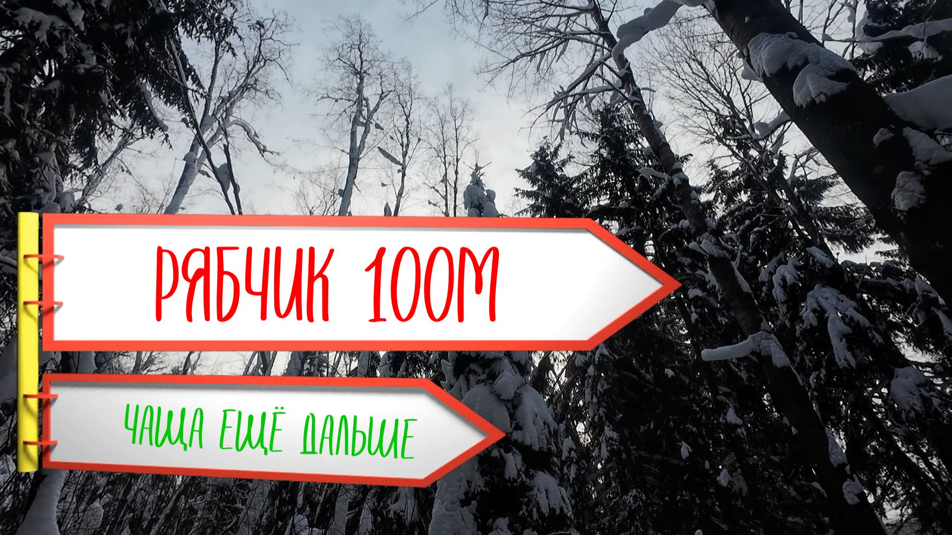 Рябчик в феврале. Пробуем манить. Ходим-бродим в чаще.