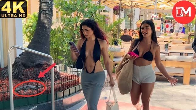 Полные идиоты за работой — подборка мгновенных неудач, о которых потом жалеют, 2026 год. смотреть онлайн