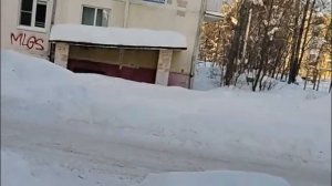 Шок цена на огурцы, мусорные ревнивцы на рутубе