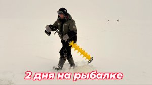 2 дня на рыбалке. Февраль - 2026