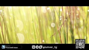 Русский язык (исп. LUMVER, ст. Бальмонт)