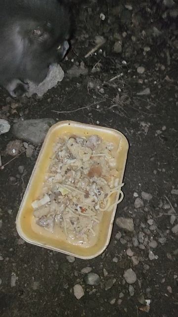 Главное, появиться в нужном месте в нужное время!