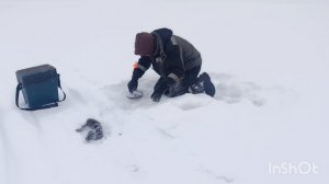 Взял жену и поехали проверять жерлицы ! Карелия 2026 ! Жерлицы на налима