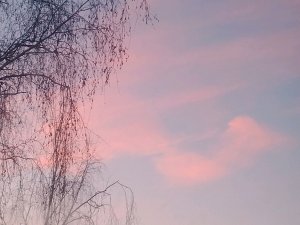 вопросы и ответы от Иришки