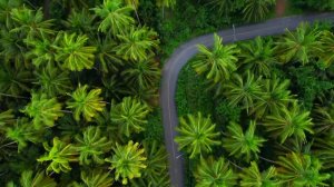 4К СЕКСУАЛЬНЫЕ КЛИПЫ В МАШИНУ