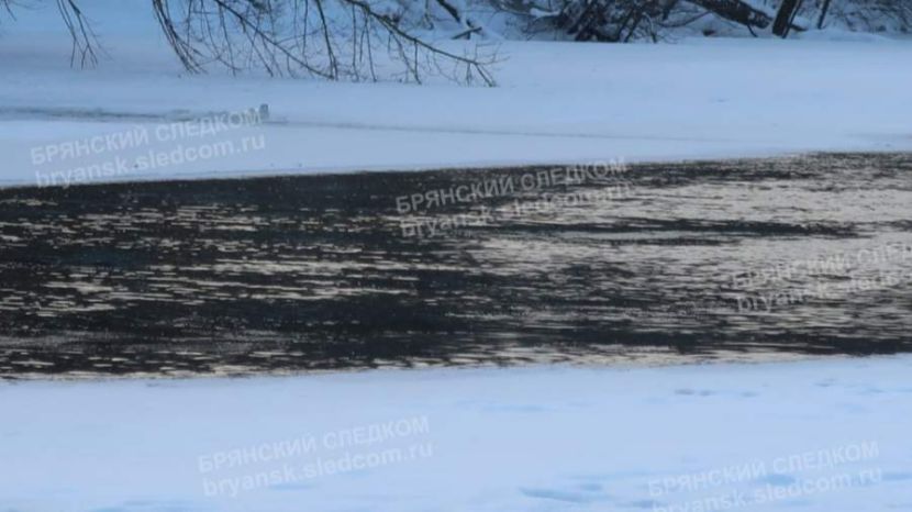 Тело одного из провалившихся под лед детей было найдено в Десне под Брянском смотреть онлайн