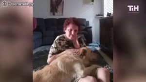 Приколы и радостные моменты за ноябрь