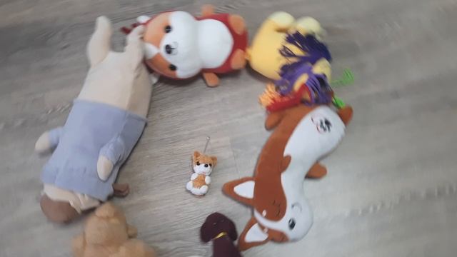 день собак хоровод! смотреть онлайн