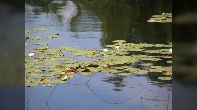 Занимательное Краеведение: Челябинская область