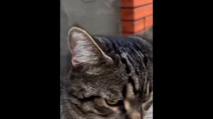 КАМЕРУ ВЫКЛЮЧИ!